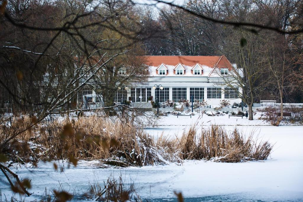 Port Solacz - Resim 9