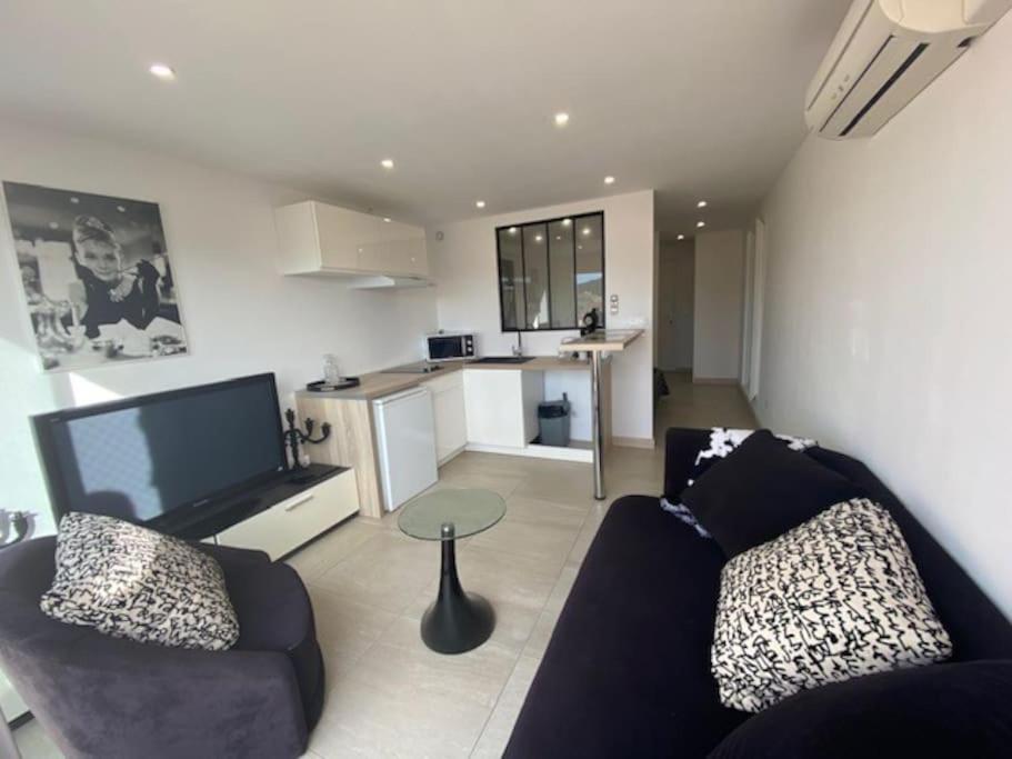 un salon avec un canapé et une table dans l'établissement Studio 551, Port Soleil au village naturiste, au Cap d'Agde