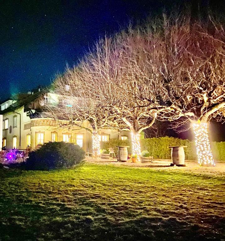 Hotel Restaurant Grünwalderhof - Resim 37