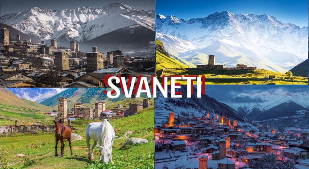 Zvířata v hostelu nebo okolí