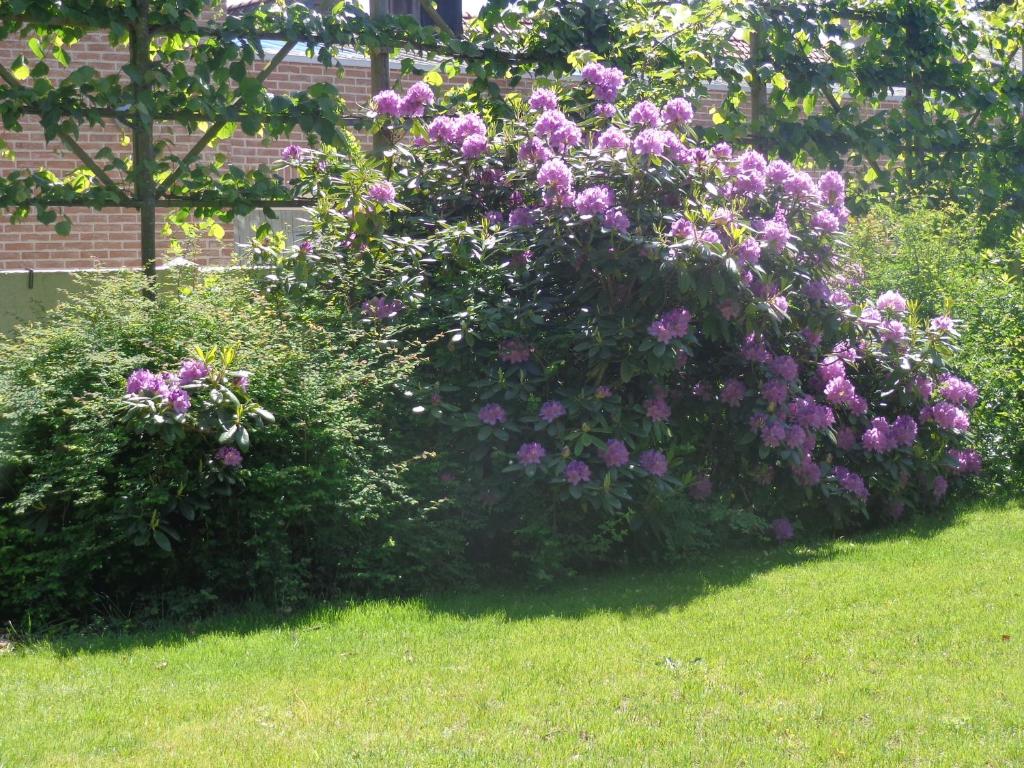 Zahrada ubytování Villa De Keyser
