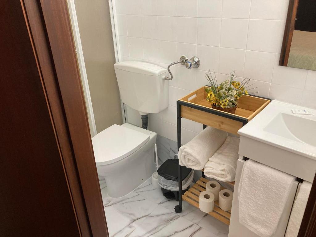 Koupelna v ubytování Alojamento Thermal Romano