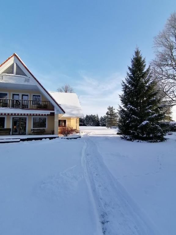 a house with a christmas tree in the snow at Villa River Rose in Jõesuu