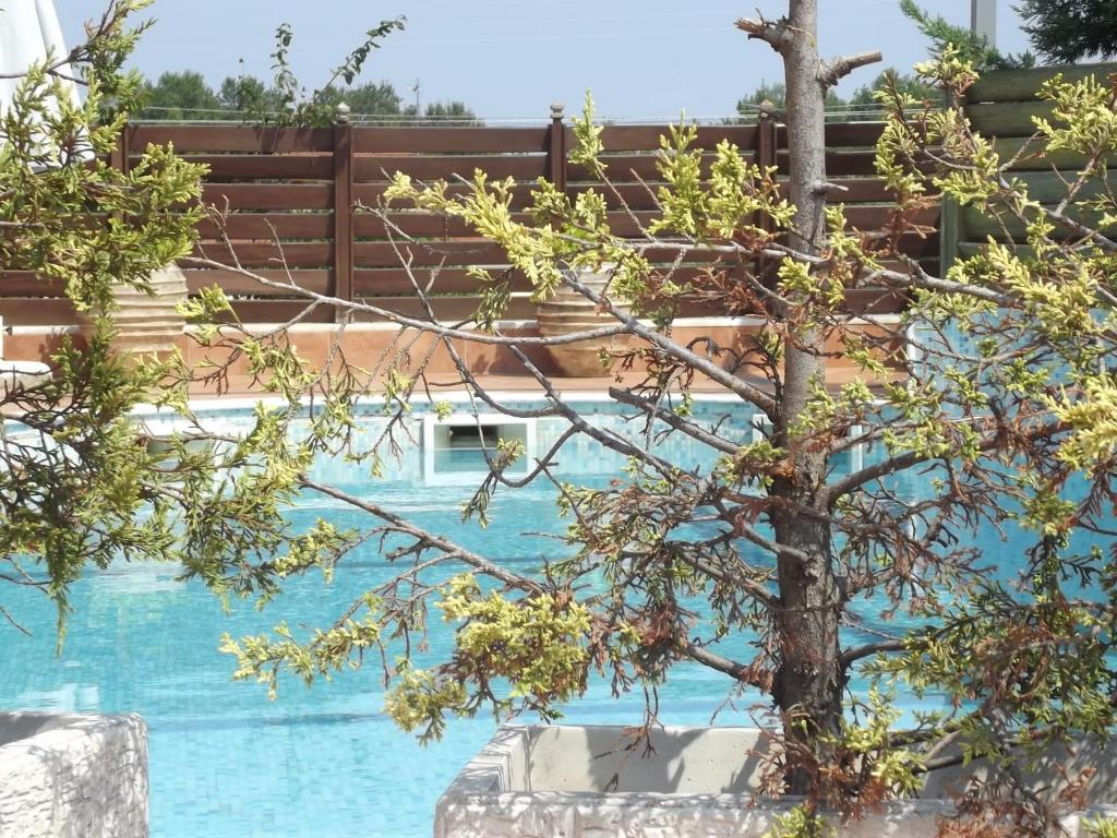 Bazén v ubytování Hotel Metropole nebo v jeho okolí
