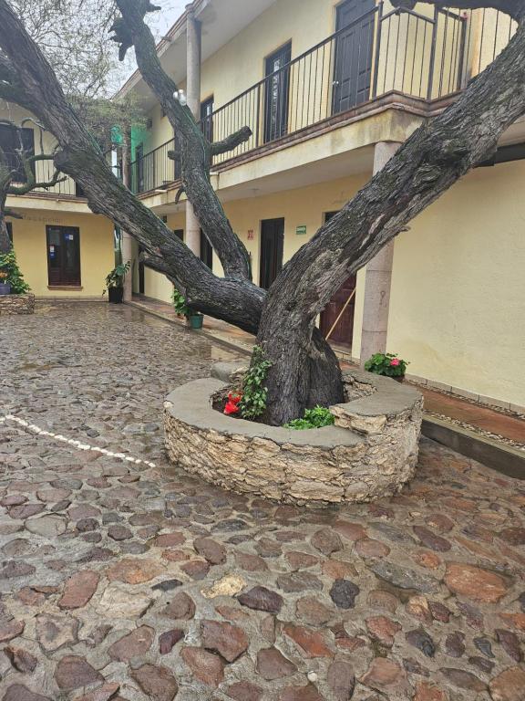 a tree in a stone circle in front of a building at Hotel villas la aurora in Bernal