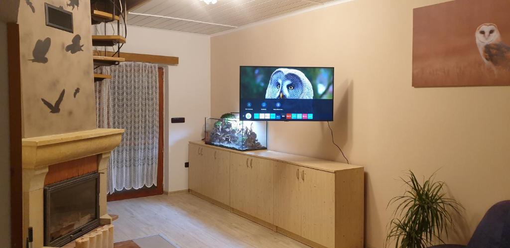 een woonkamer met een flatscreen-tv aan de muur bij Apartmán v centru Království sov in Králíky