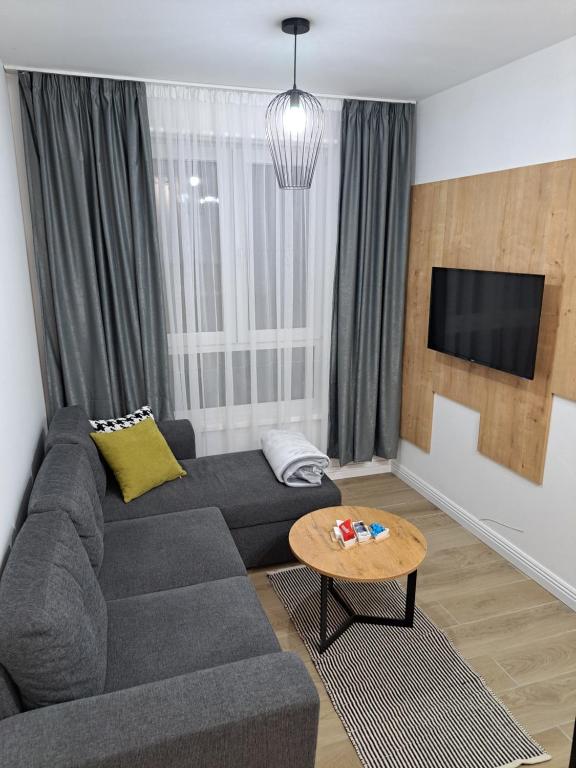 a living room with a couch and a tv at Apartman ISKRA Villa Mont in Jahorina