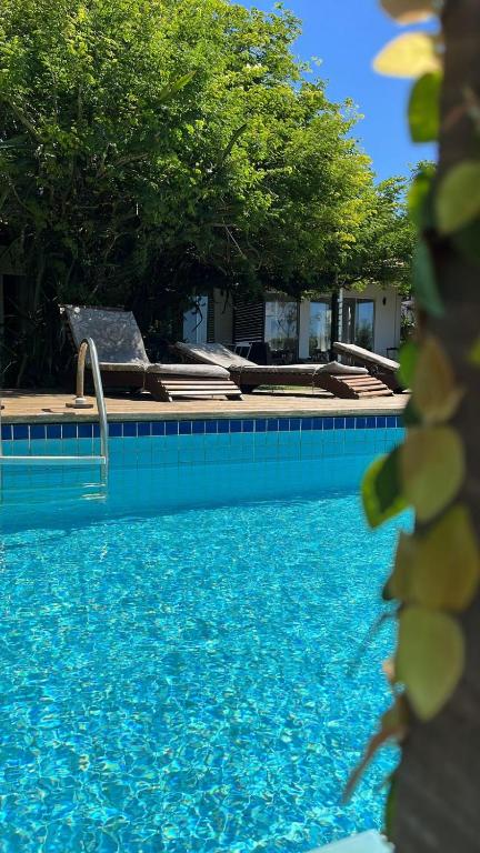 布希奧斯的住宿－Bossa Nova，拥有蓝色海水和树木的游泳池