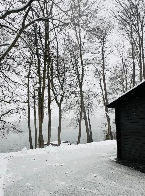 Snowy scene with trees and a dark wooden cabin.