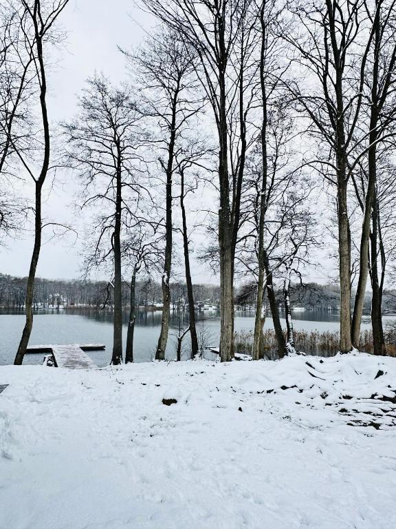 Snow-covered landscape with trees by a lake.