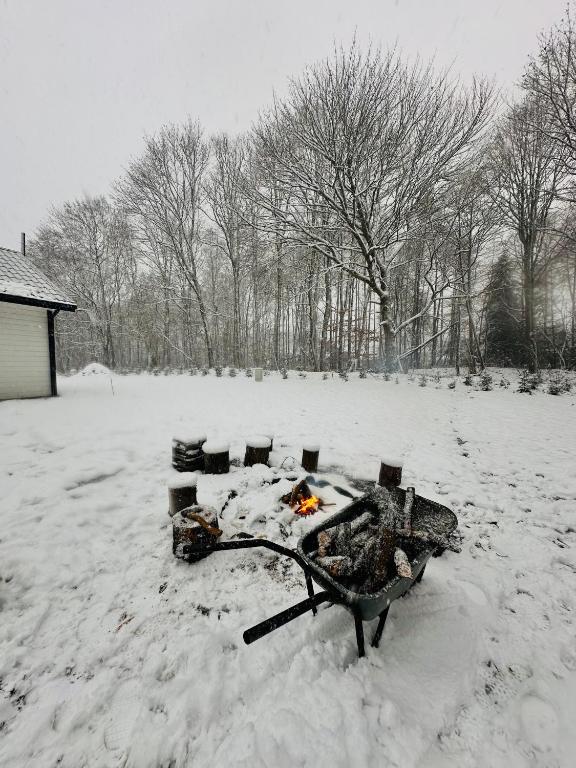 Snowy yard with a fire pit and logs.