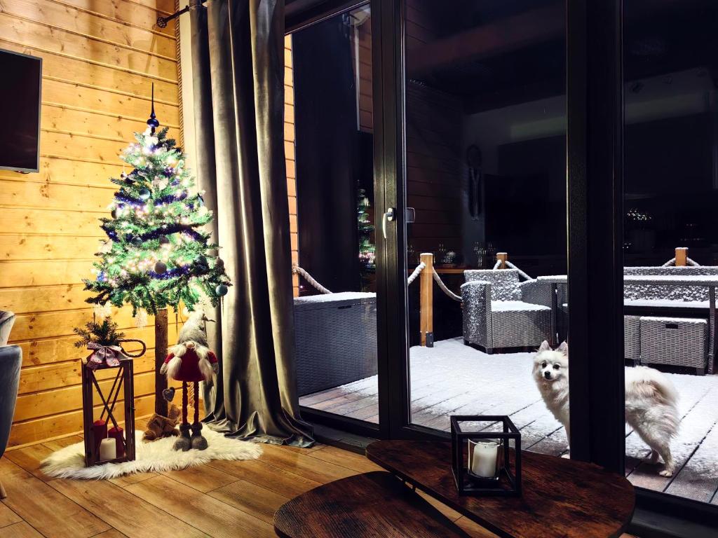 Repakowa Chata, Polańczyk (updated prices 2025)