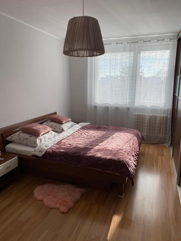 ein Schlafzimmer mit einem Bett und einem großen Fenster in der Unterkunft City Apartment in Piešťany