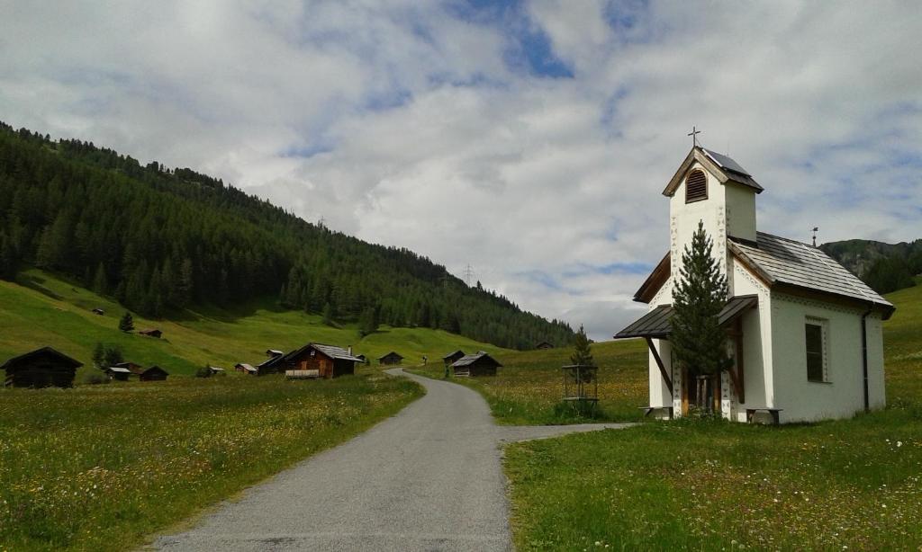 Príroda v okolí apartmánu