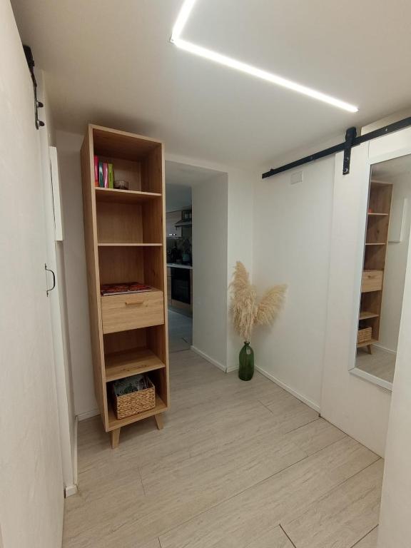 The library in Az apartmant