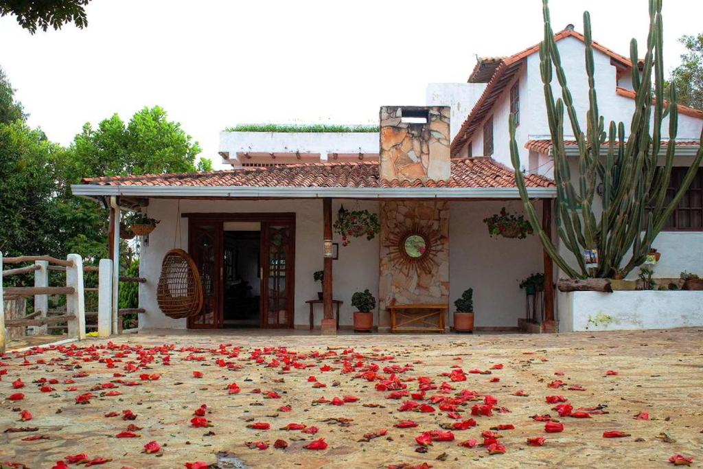 洛斯桑托斯的住宿－Hotel Boutique Santa Clara Mesa de los Santos，房子前面的地面上有一束红玫瑰