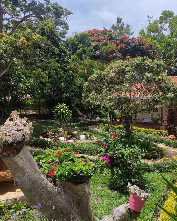 Jardí fora de Hotel Boutique Santa Clara Mesa de los Santos