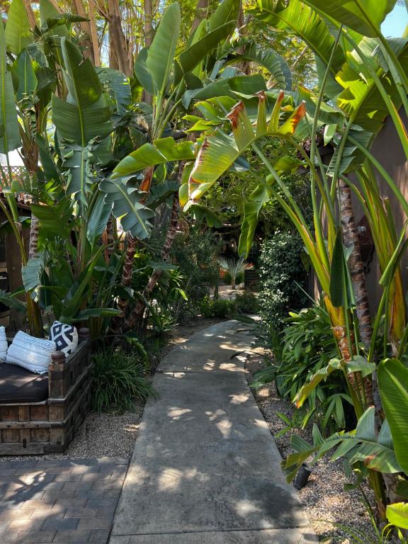 un chemin à travers un jardin avec des plantes et un banc dans l'établissement Talavera Palm Springs, à Palm Springs