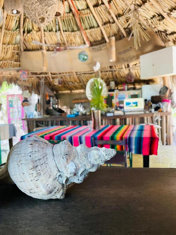 Fotografie z fotogalerie ubytování Casa Jade Ecobungalows Las coloradas v destinaci Yuluc