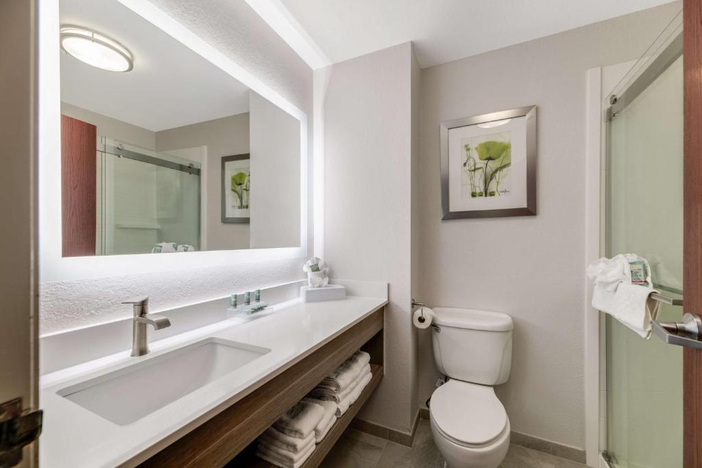 Best Western Auburndale Inn & Suites - Executive King Suite