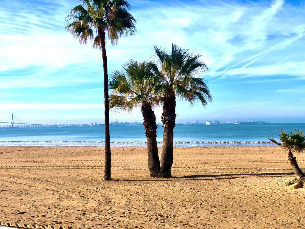 2 palmiers sur une plage de sable près de l'océan dans l'établissement Primera linea playa valdelagrana vistas al mar, à El Puerto de Santa María