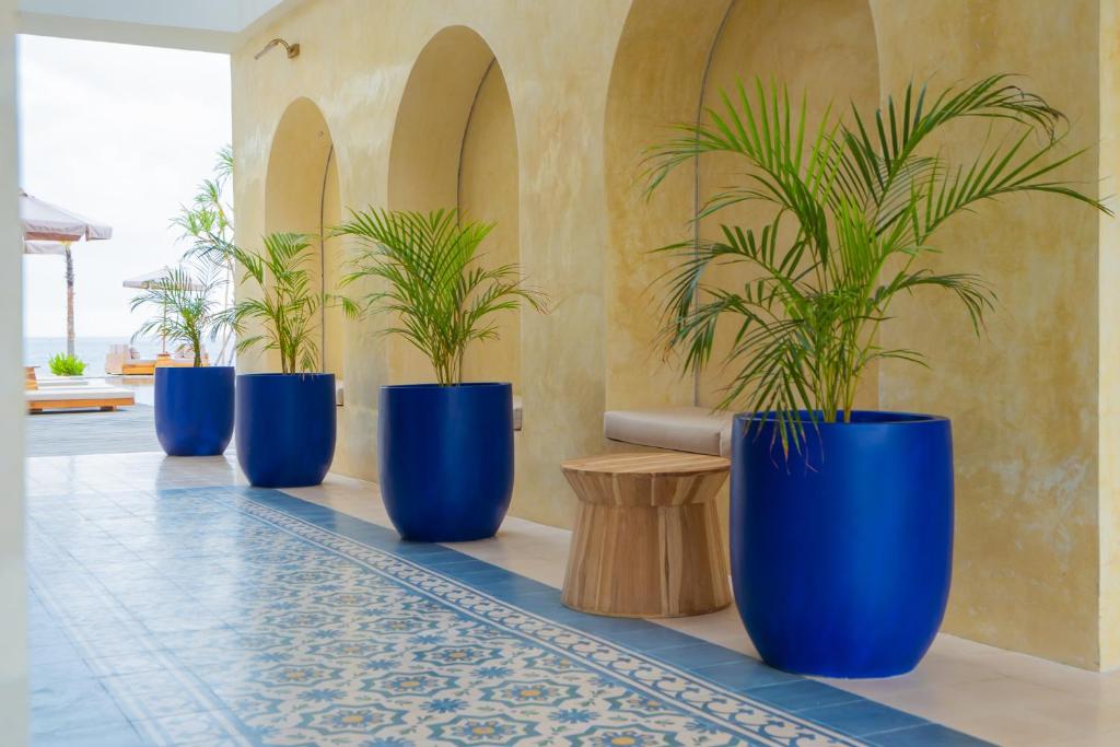 Fotografie z fotogalerie ubytování Alana Penida Hotel v destinaci Nusa Penida
