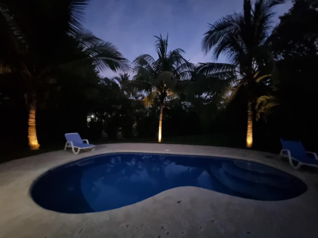 una piscina por la noche con 2 sillas y palmeras en Samara Dive School, en Sámara
