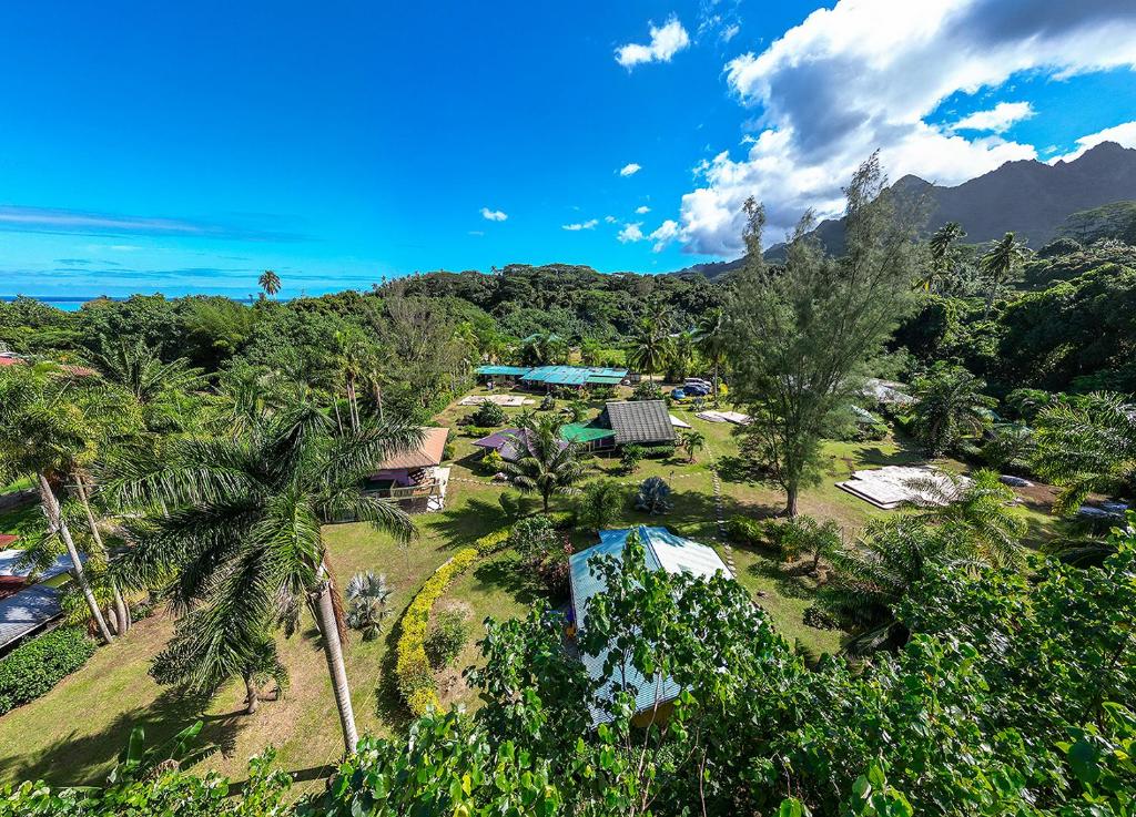 una vista aerea di un resort con palme di Heimanarii's Lodge - Fare Manu a Haapiti