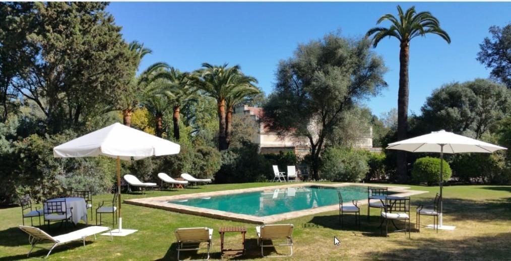una piscina con sillas y sombrillas en un patio en Casa Viña de Alcántara, en Jerez de la Frontera