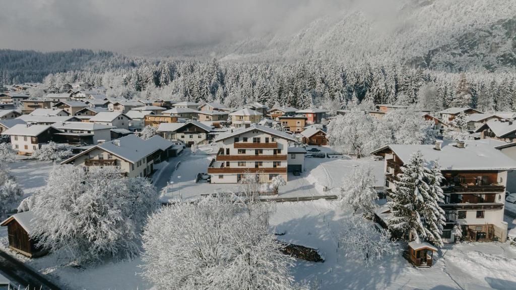 un pueblo cubierto de nieve con montañas en el fondo en Sunny Mountain, en Münster