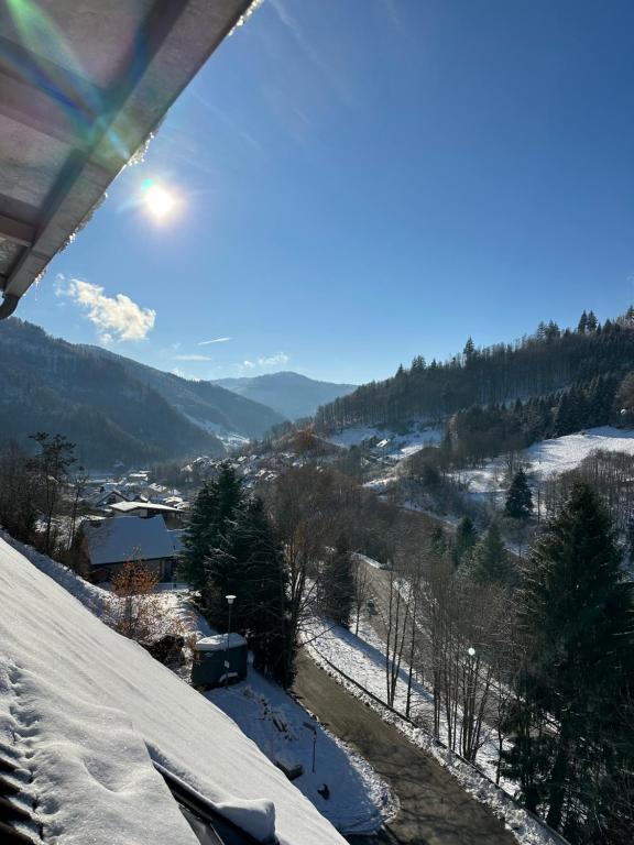 Blick auf einen schneebedeckten Hügel mit einer Stadt in der Unterkunft Bollenlodge - Ferienwohnung mit Ausblick und Top Lage in Todtnau