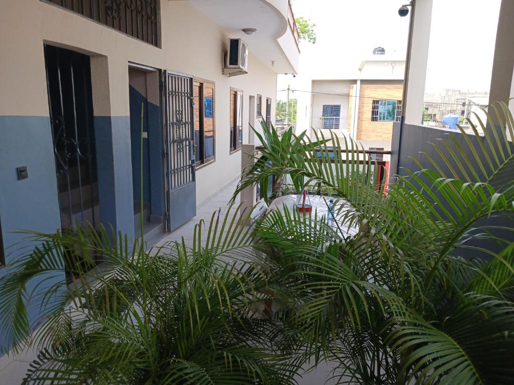 un grupo de plantas frente a un edificio en Magnifique appartement, en Cotonou