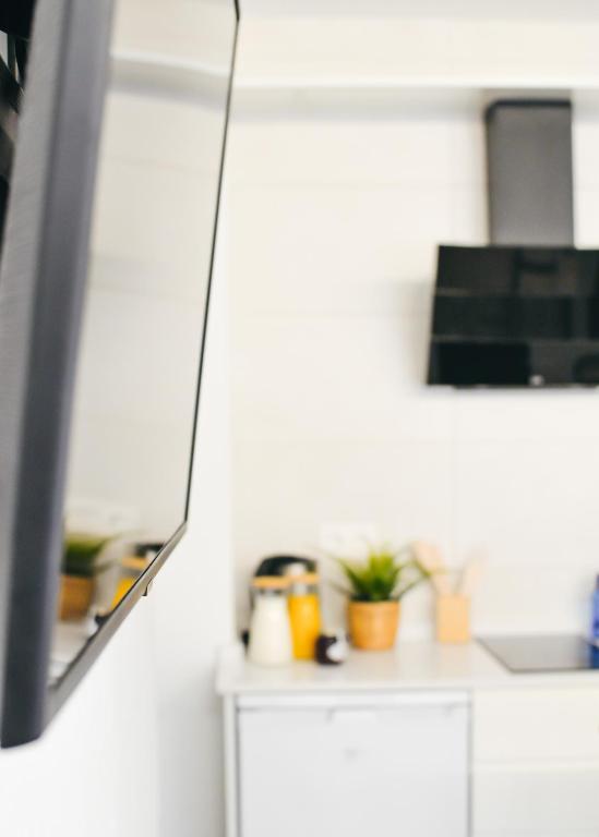 Kuchyňa alebo kuchynka v ubytovaní Larios Premium Apartments