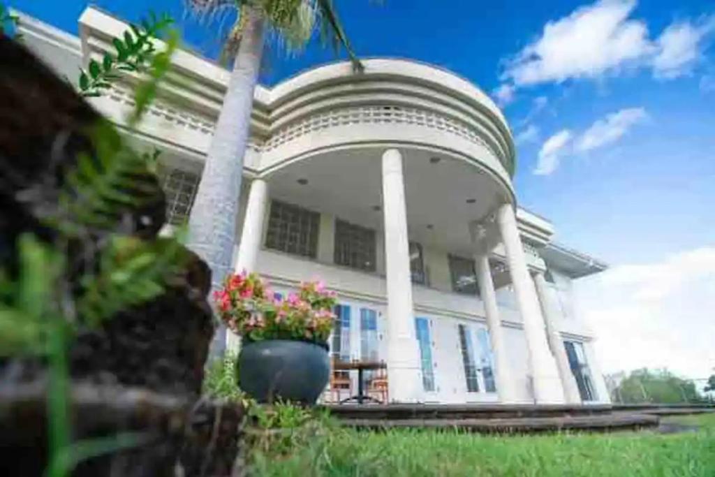 una gran casa blanca con una palmera delante de ella en Hilo Villa w/pool- 16 guests max, en Hilo