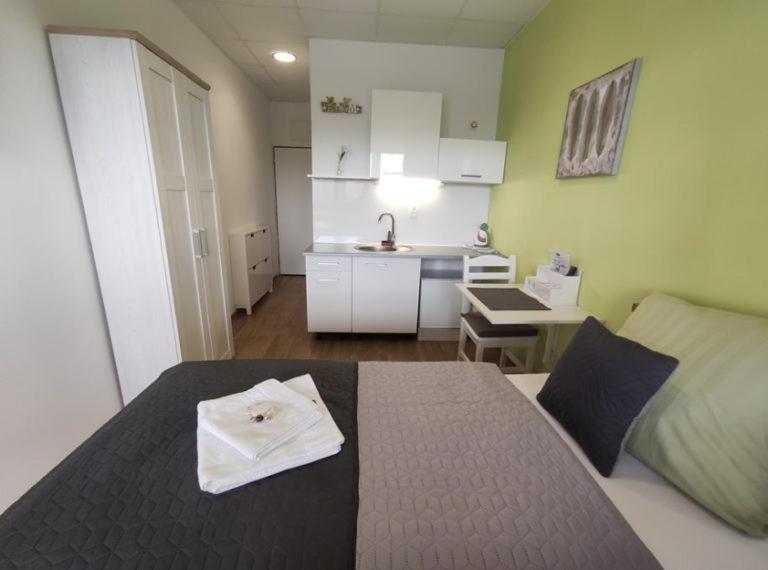 Kuchyň nebo kuchyňský kout v ubytování Penzion Wellness Chechluvka