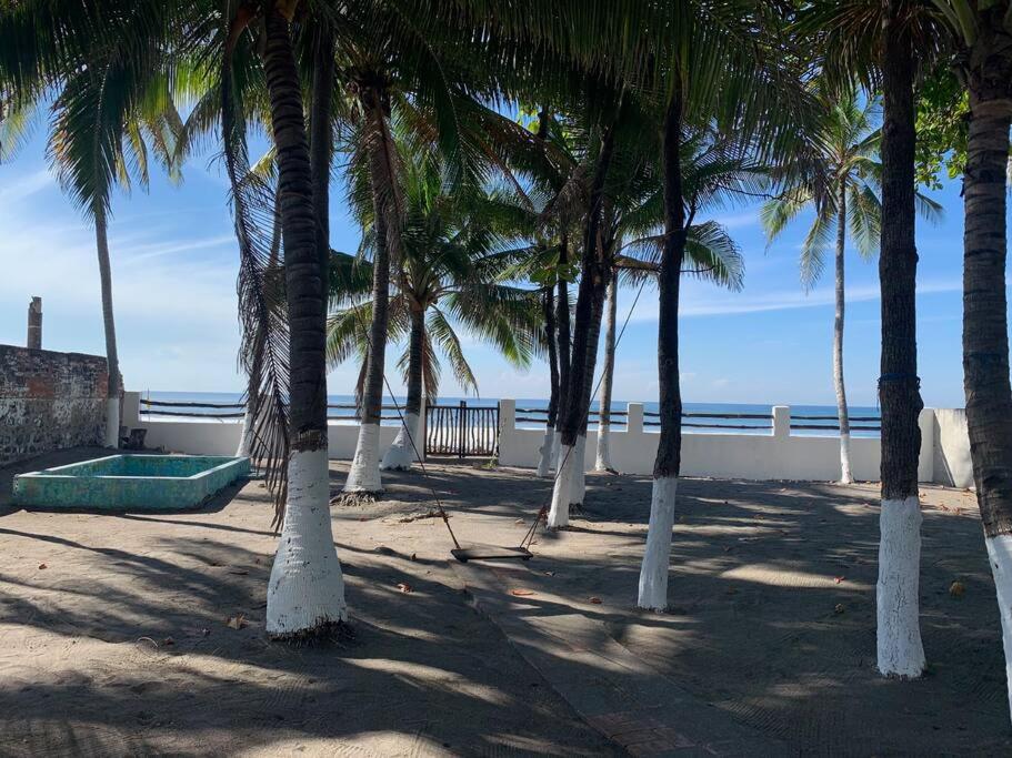 um grupo de palmeiras numa praia com o oceano em Casa GaNiMo - propiedad privada, frente al mar em La Libertad