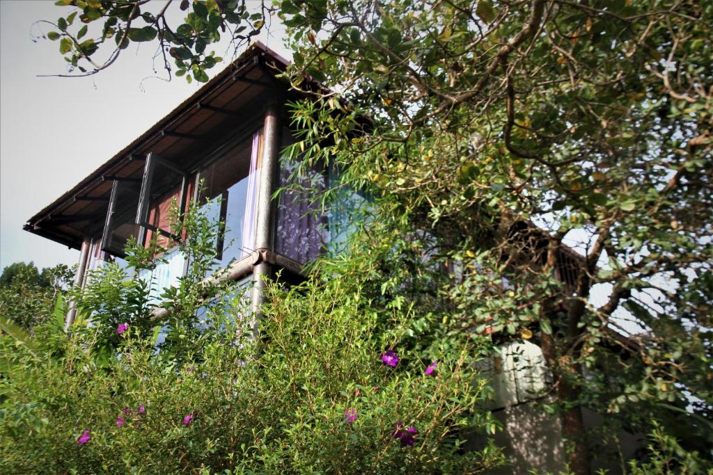 Zahrada ubytování Zen Cafe Countryside Retreat