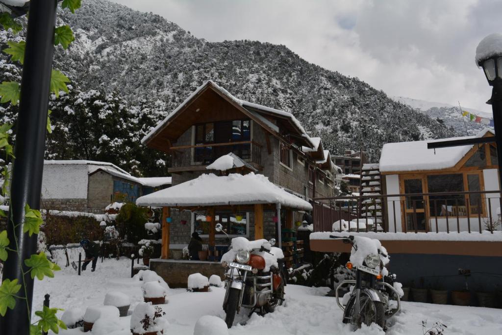 Utopia Hostels Dharamkot Mcleodganj v zimě