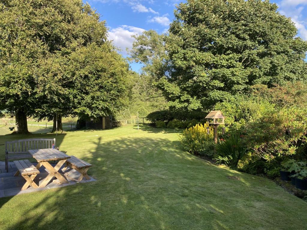 a park with a picnic table in the grass at Houghton Park Holiday Cottage in Newcastleton