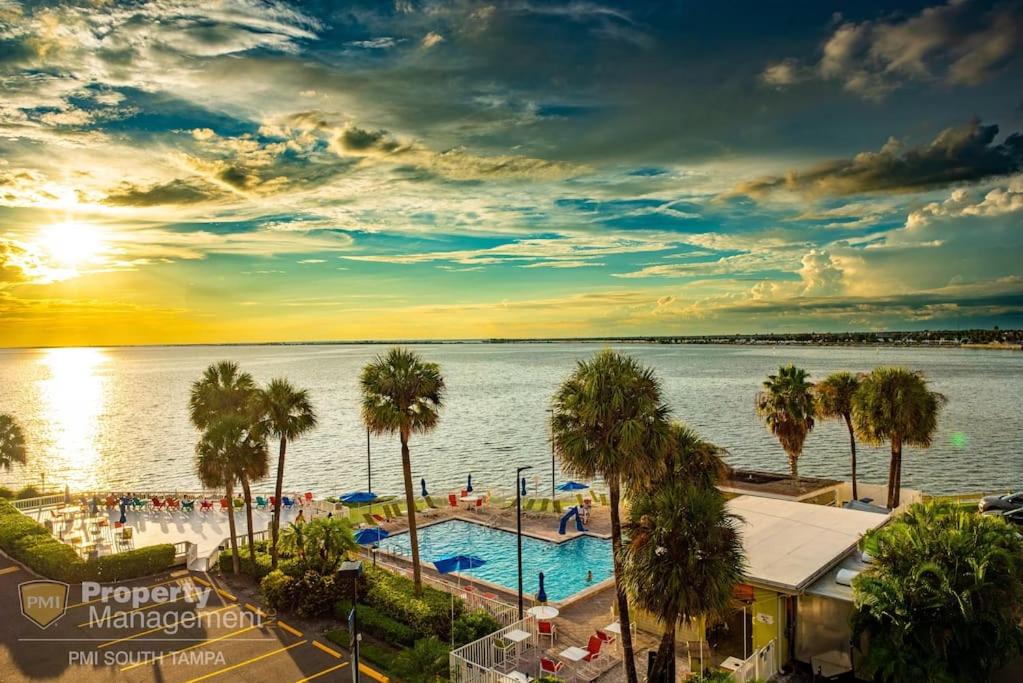 an aerial view of a resort swimming pool and the water at Bay Dreamer in Tampa