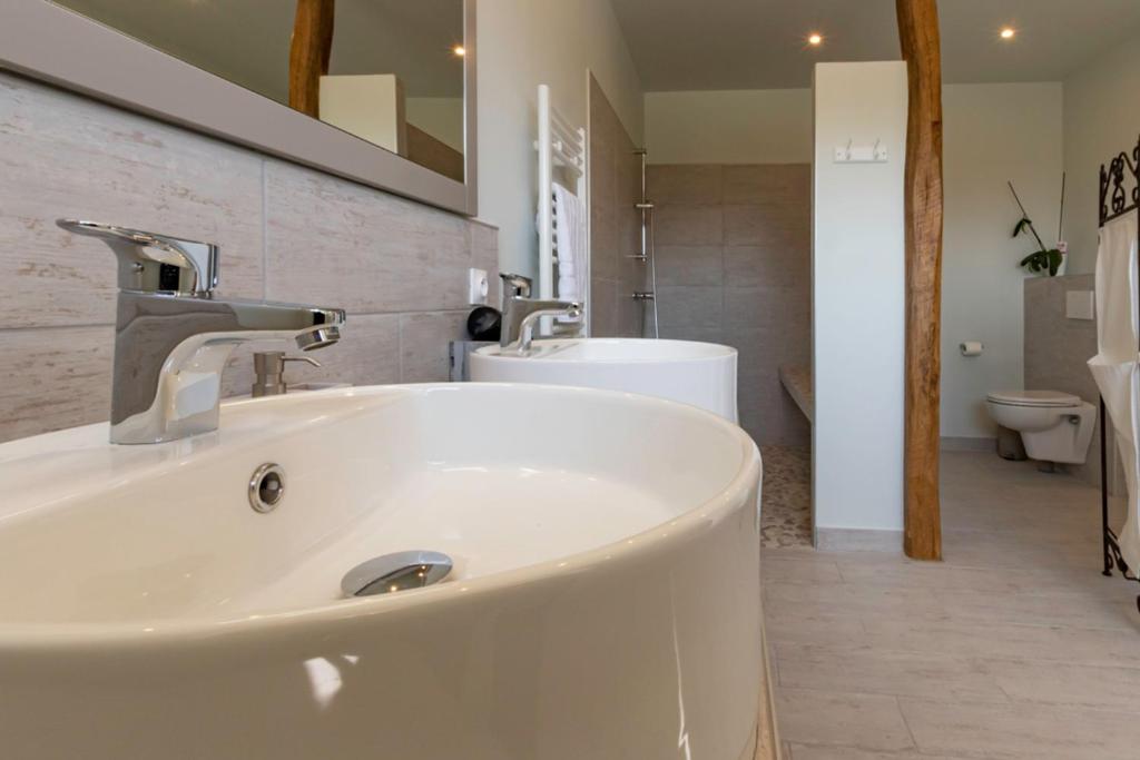 Łazienka w obiekcie GITE ENTRE TERRES ET VIGNES à la ferme avec SPA privatif en CHAMPAGNE à une heure de Paris
