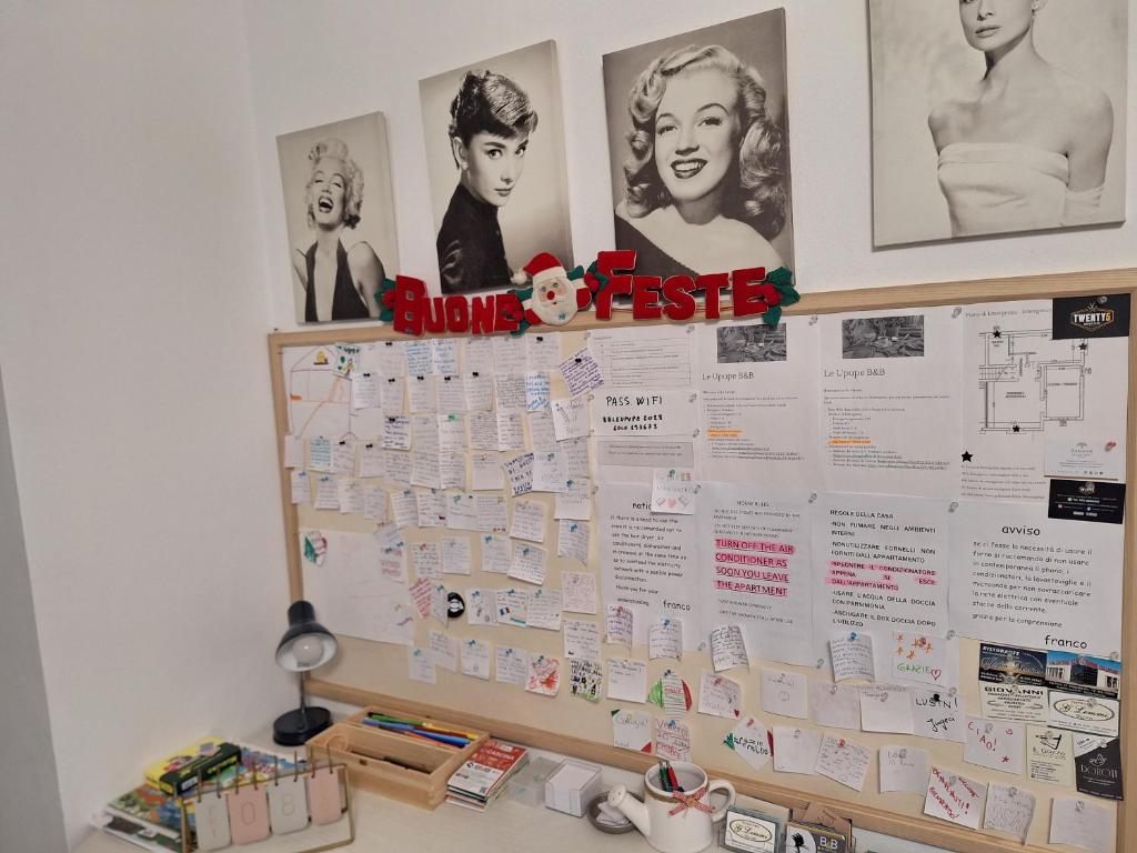 leupupe relax cultura mare monti - 19