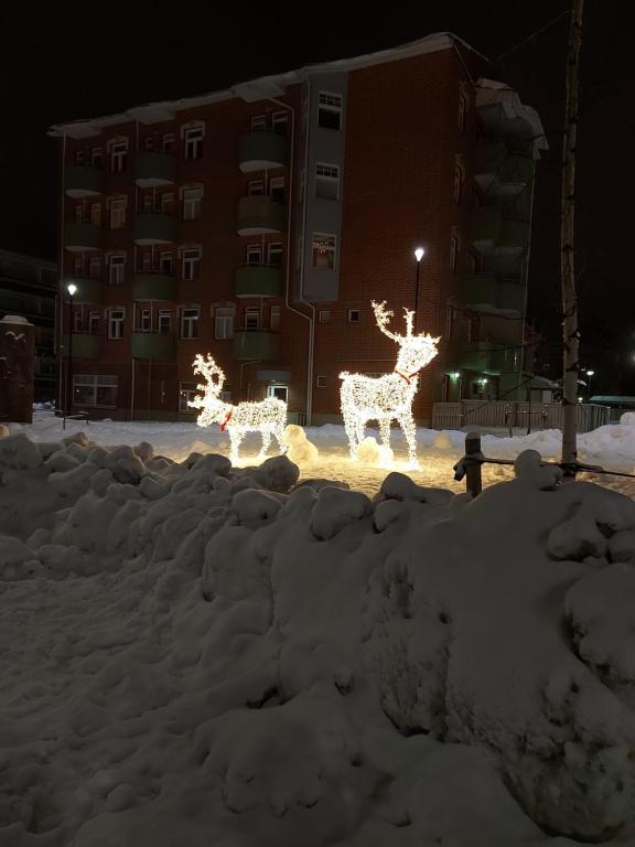 Fotografie z fotogalerie ubytování City Apartment Rovaniemi v destinaci Rovaniemi