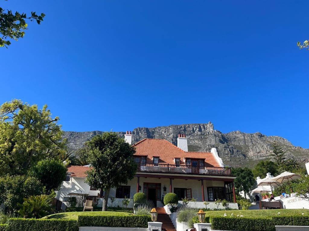 a house with a mountain in the background at Acorn House in Cape Town