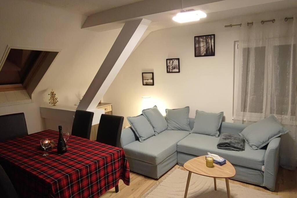 un salon avec un canapé et une table dans l'établissement Au sapin d'argent, à Sélestat