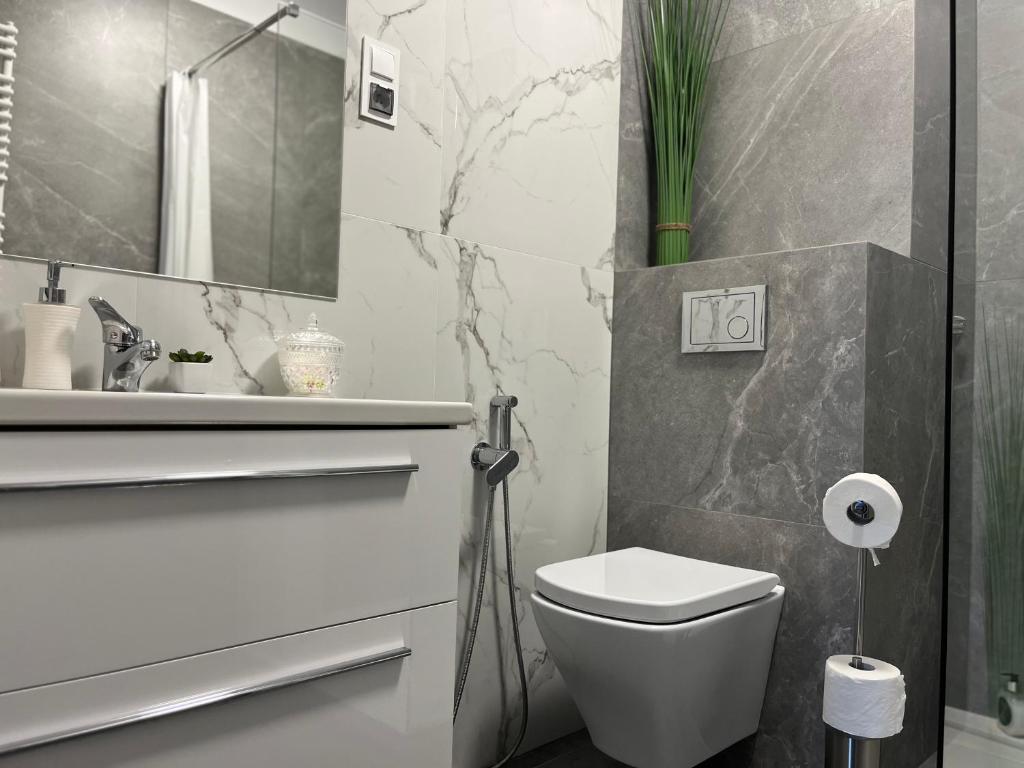 Kúpeľňa v ubytovaní Apartament Przy Obserwatorium&Singielnia