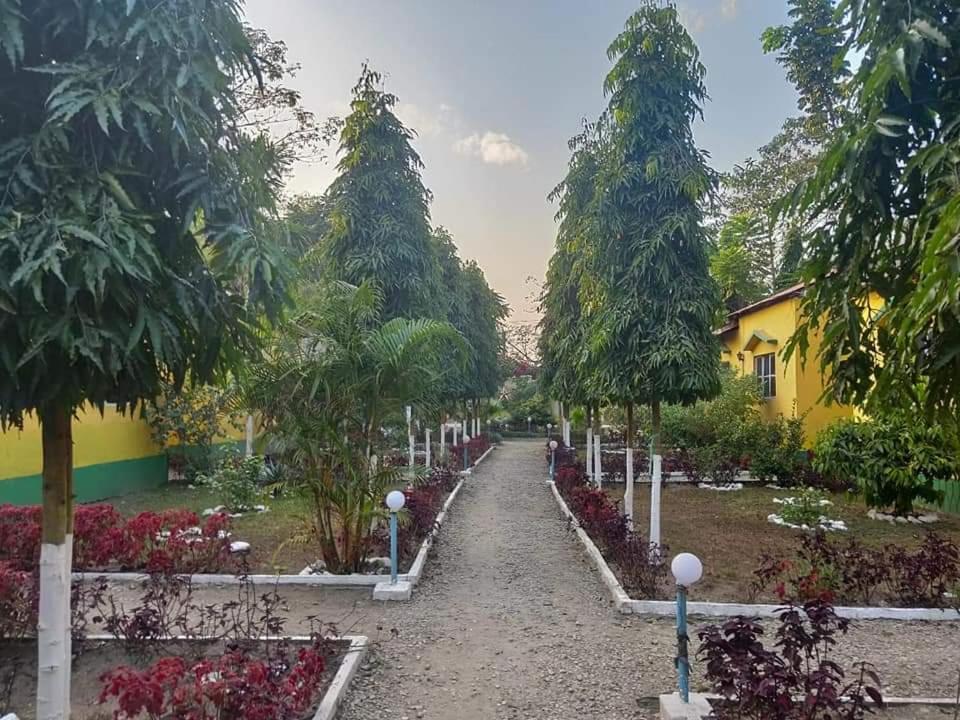 a row of trees in a garden with flowers at THE MYSTIC FOREST-A TEA GARDEN RESORT in Mādāri Hāt