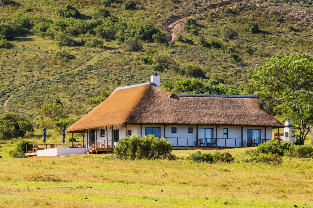 a house with a thatched roof on a field at Barefoot Addo Elephant Lodge - Luxury Family Villa in Addo