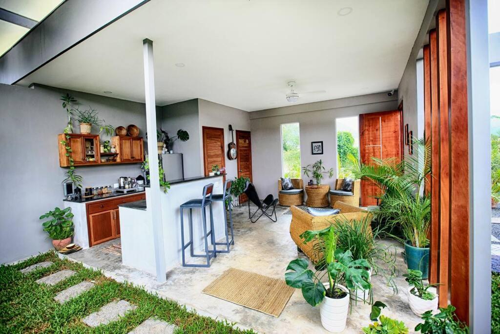 a kitchen and living room with a lot of plants at Beautiful Modern Garden Home in Kampot