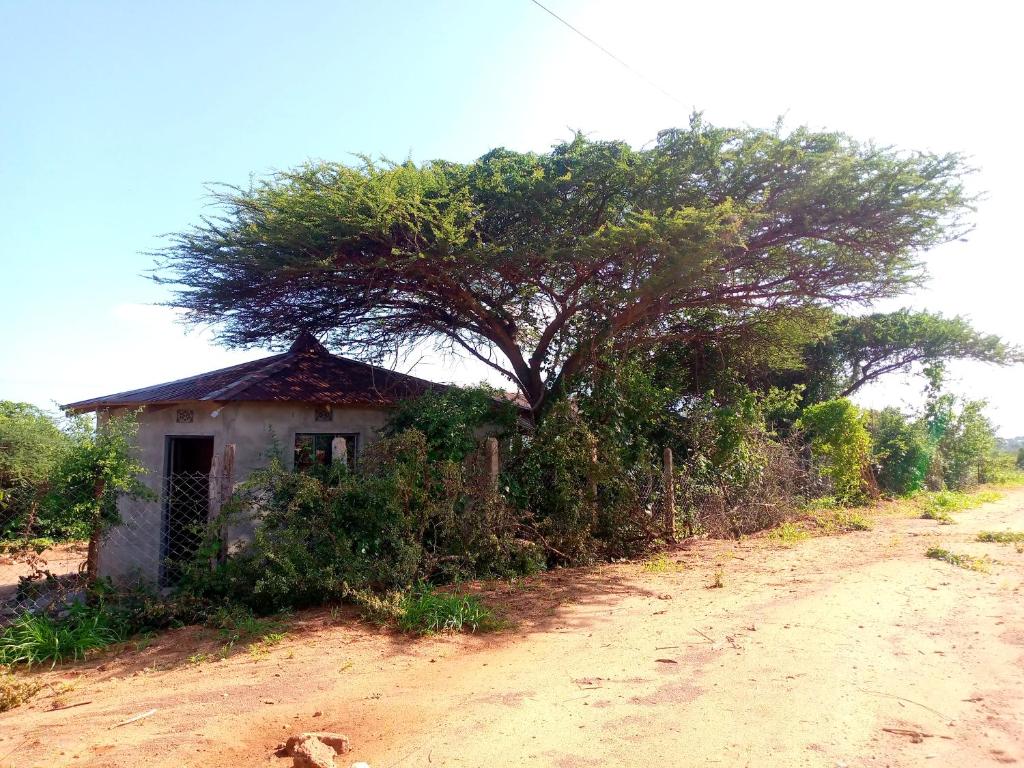 Fotografie z fotogalerie ubytování Sau Tsavo Camp v destinaci Voi